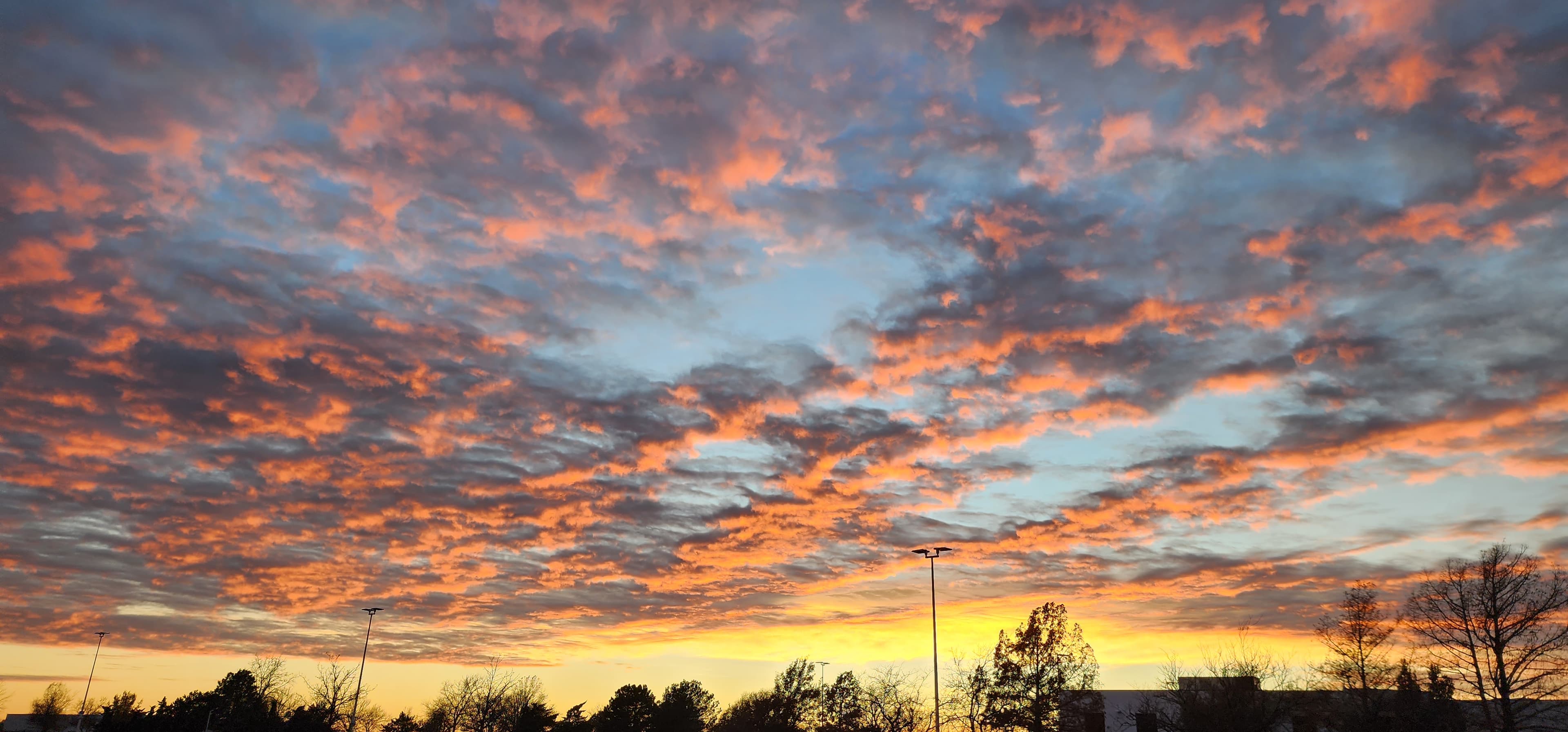Delivery bay with jets undergoing final checks